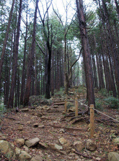 20120418kagenobu-005.jpg