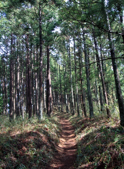 20120418kagenobu-006.jpg