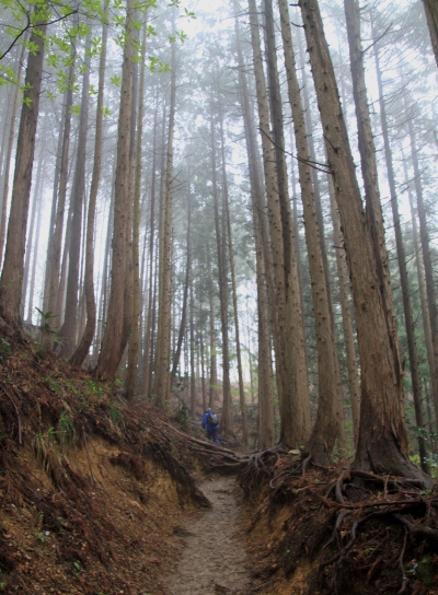 20120425kagenobu-002.jpg