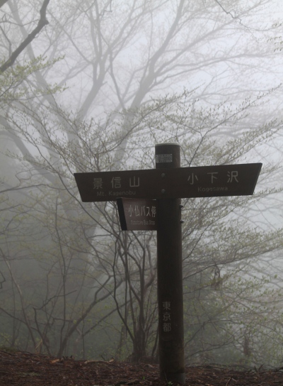 20120425kagenobu-004.jpg