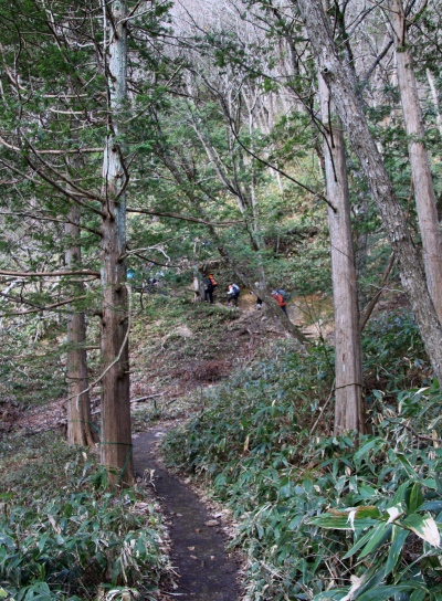 20120429tubakuro-002.jpg