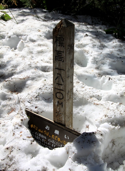20120429tubakuro-008.jpg