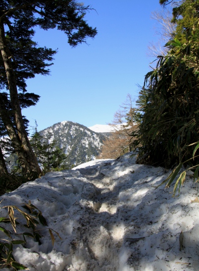 20120429tubakuro-009.jpg