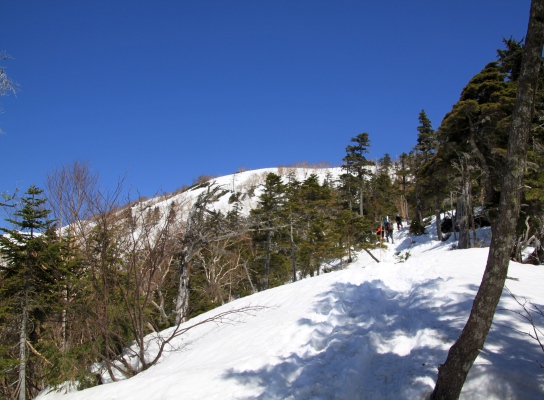 20120429tubakuro-012.jpg