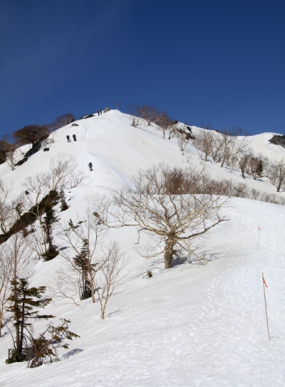 20120429tubakuro-018.jpg