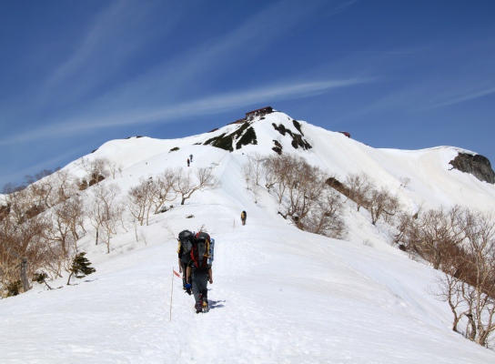 20120429tubakuro-020.jpg