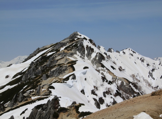 20120429tubakuro-101.jpg