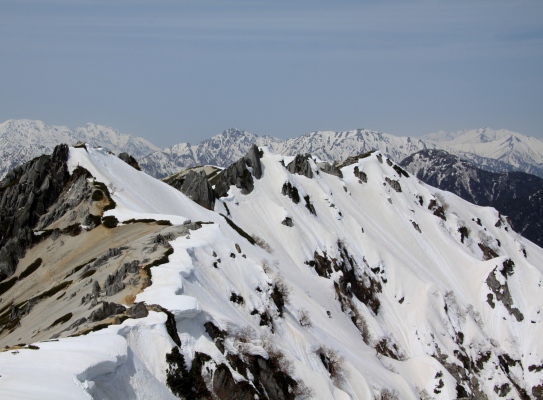 20120429tubakuro-105.jpg