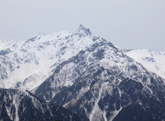 20120429tubakuro-106.jpg