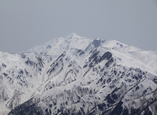 20120429tubakuro-107.jpg