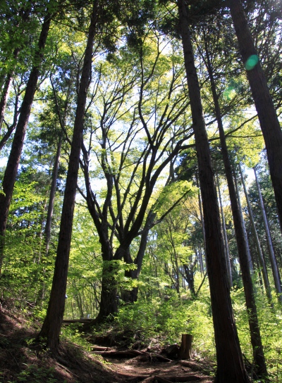 20120513jinba-009.jpg