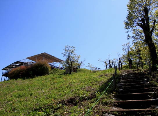 20120513jinba-010.jpg
