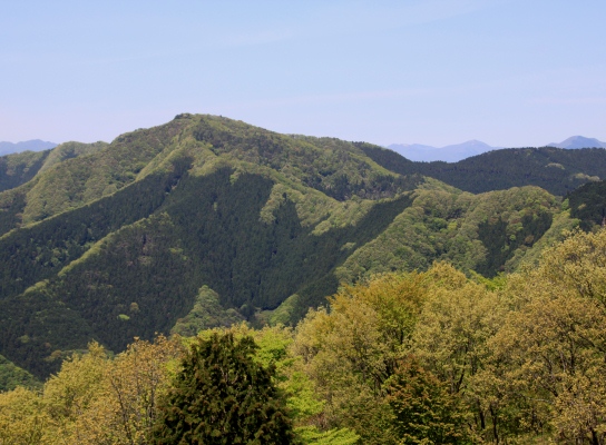 20120513jinba-016.jpg