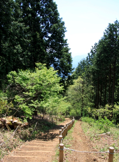 20120513jinba-018.jpg