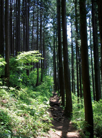 20120513jinba-019.jpg