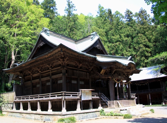 20120513jinba-021.jpg