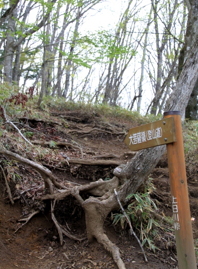 20120529daibosatu-003.jpg