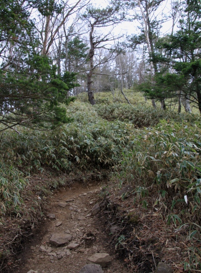 20120529daibosatu-006.jpg