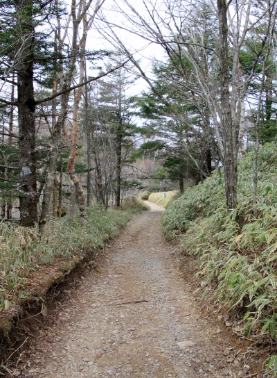20120529daibosatu-017.jpg