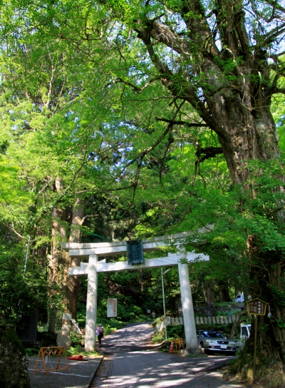 20120606hinode-002.jpg
