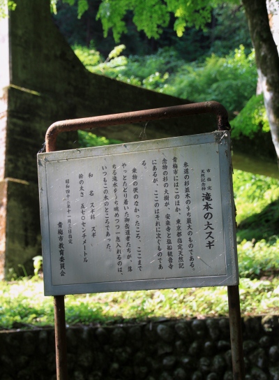 20120606hinode-005.jpg