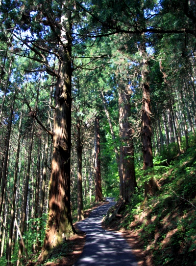 20120606hinode-007.jpg