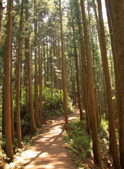 20120606hinode-011.jpg