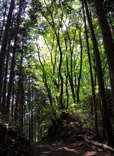 20120606hinode-012.jpg