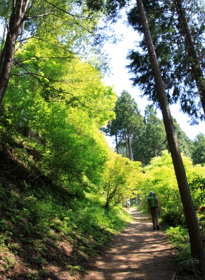 20120606hinode-013.jpg