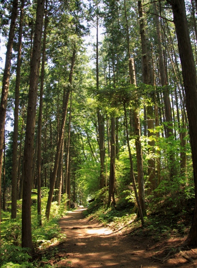 20120606hinode-019.jpg