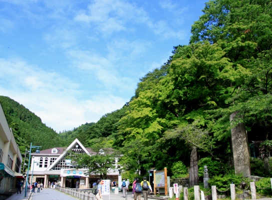 20120610takaosan-002.jpg