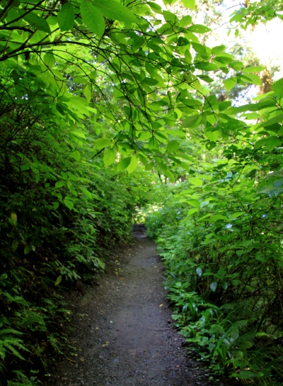 20120610takaosan-003.jpg