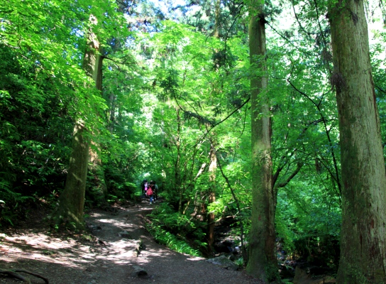 20120610takaosan-004.jpg