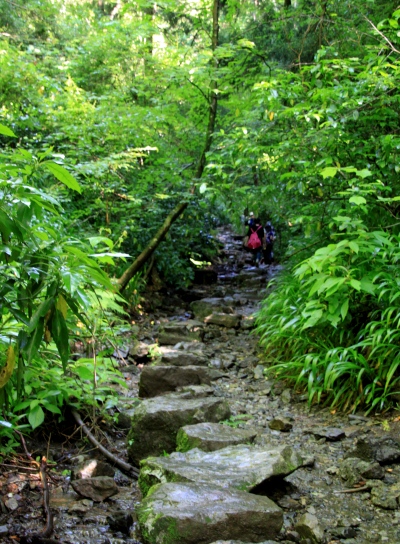 20120610takaosan-006.jpg