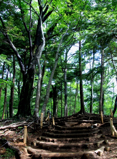 20120610takaosan-007.jpg