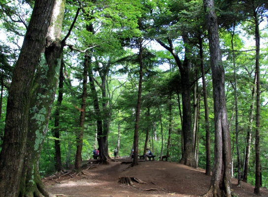 20120610takaosan-008.jpg