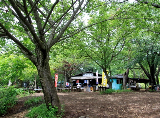 20120610takaosan-015.jpg