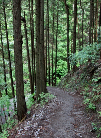 20120610takaosan-017.jpg