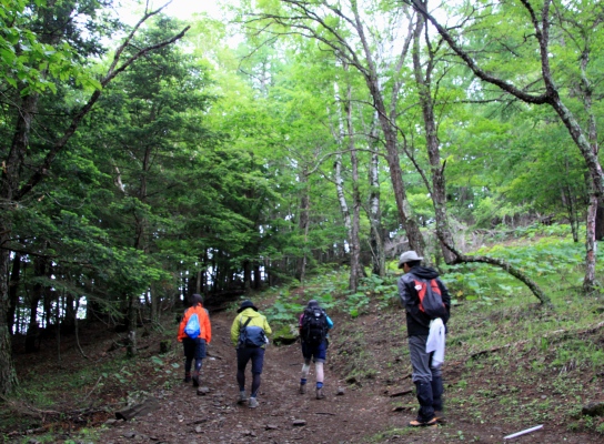 20120713mizugaki-001.jpg