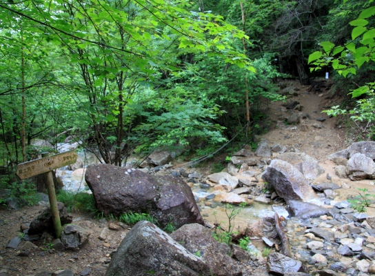 20120713mizugaki-002.jpg