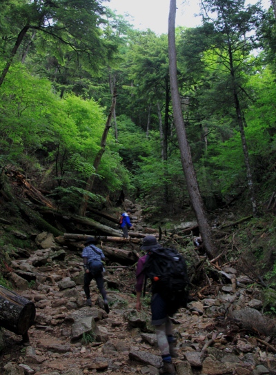 20120713mizugaki-005.jpg