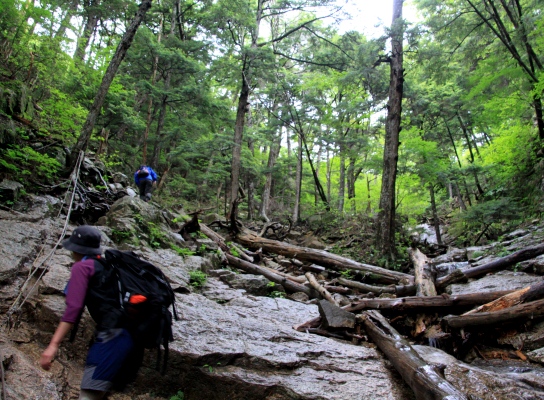 20120713mizugaki-006.jpg