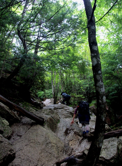 20120713mizugaki-007.jpg