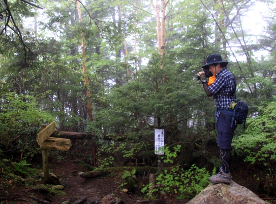 20120713mizugaki-010.jpg
