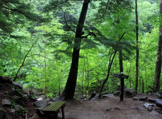 20120713mizugaki-015.jpg