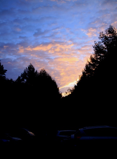 20121006kisokoma-001.jpg