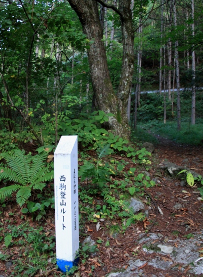 20121006kisokoma-002.jpg