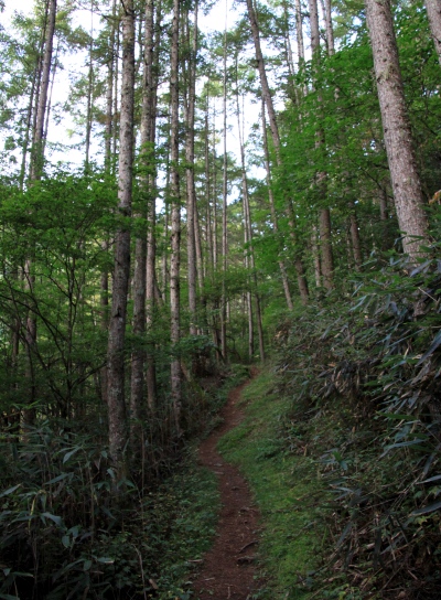 20121006kisokoma-003.jpg
