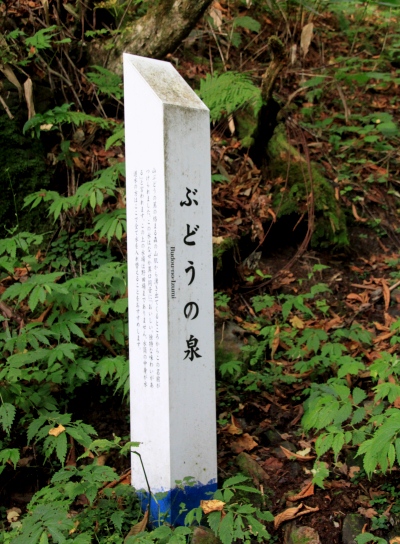 20121006kisokoma-005.jpg