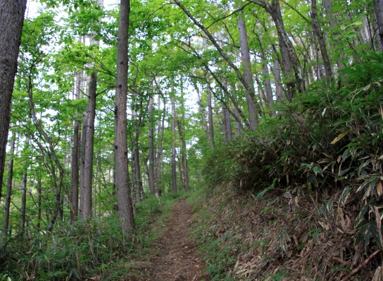 20121006kisokoma-007.jpg